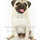 076 190623-Albert & Winston