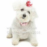 077 160821-Hollie