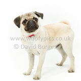 077 190623-Albert & Winston