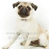 078 190623-Albert & Winston