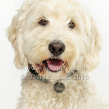079 160813-Milly & Bobby-2