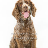 079 190721-Harvey