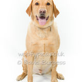079 190804-Buster