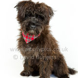 081 190512-Durweston-Jeffrey