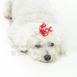082 160821-Hollie