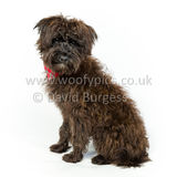 082 190512-Durweston-Jeffrey