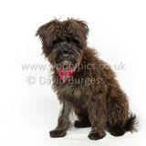 083 190512-Durweston-Jeffrey