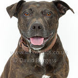 083 190518-Maggie