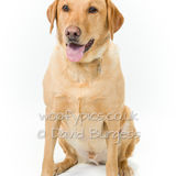 083 190804-Buster
