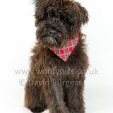 084 190512-Durweston-Jeffrey