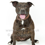 084 190518-Maggie