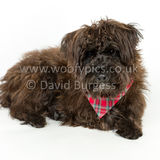 085 190512-Durweston-Jeffrey