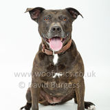 085 190518-Maggie