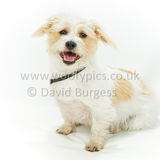 085 190623-Teddy & Barney-Edit