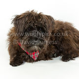 086 190512-Durweston-Jeffrey