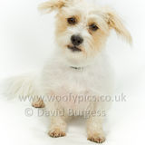 086 190623-Teddy & Barney
