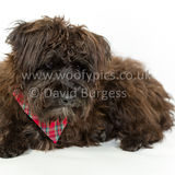 087 190512-Durweston-Jeffrey
