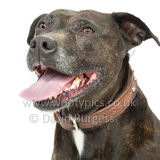 087 190518-Maggie