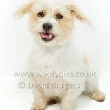 087 190623-Teddy & Barney