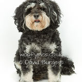 087 190721-Freddy & Archie