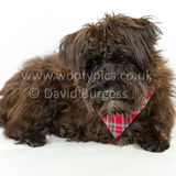088 190512-Durweston-Jeffrey