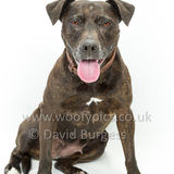 088 190518-Maggie-Edit