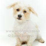 088 190623-Teddy & Barney