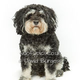 088 190721-Freddy & Archie