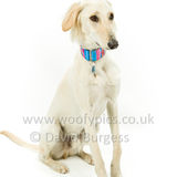 092 190526-Alfie