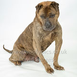093 190518-Charlie & Elton-Edit