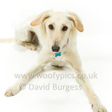 095 190526-Alfie