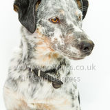 095 190707-Buddy