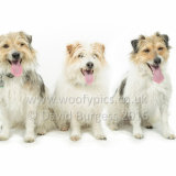 096 160717-Lucy Hannah & Katie-Edit