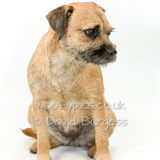 097 190804-Cleo