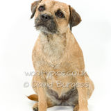 098 190804-Cleo