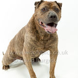 099 190518-Charlie & Elton