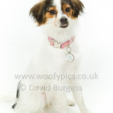 099 190623-Ruby