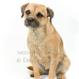 099 190804-Cleo