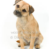 100 190804-Cleo
