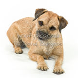 101 190804-Cleo
