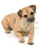 102 190804-Cleo