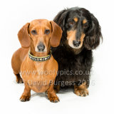 109 160612-Poppy & Harvey-Edit