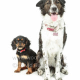 109 160717-Skye & Holly