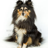110 190512-Durweston-Holly-Edit