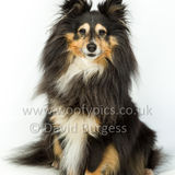 111 190512-Durweston-Holly-Edit