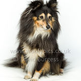 112 190512-Durweston-Holly-Edit