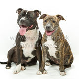 113 190518-Cooper & Lily