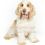 113 190817-Ralph & Ellie