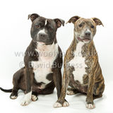 114 190518-Cooper & Lily