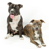 115 190518-Cooper & Lily